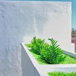 Gold - Duplex - Near The With Air-con By Lanzarote בית נופש פלאיה בלנקה